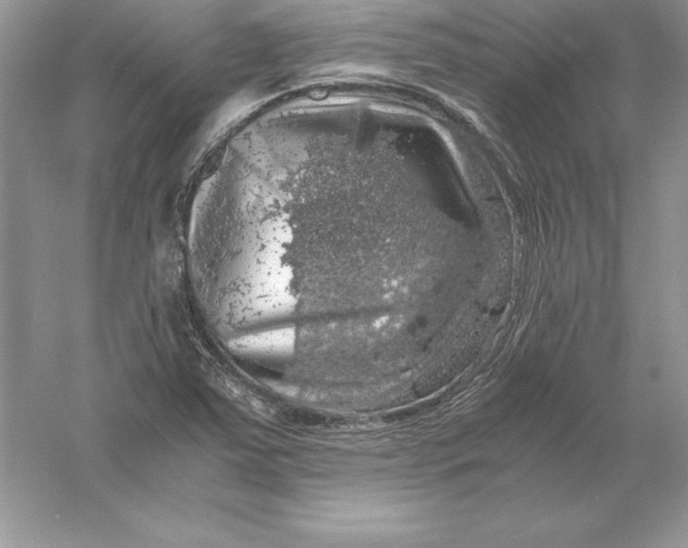 X0000055981363200509091942