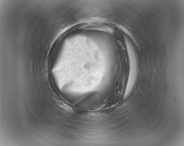 X0000055981364200509091942