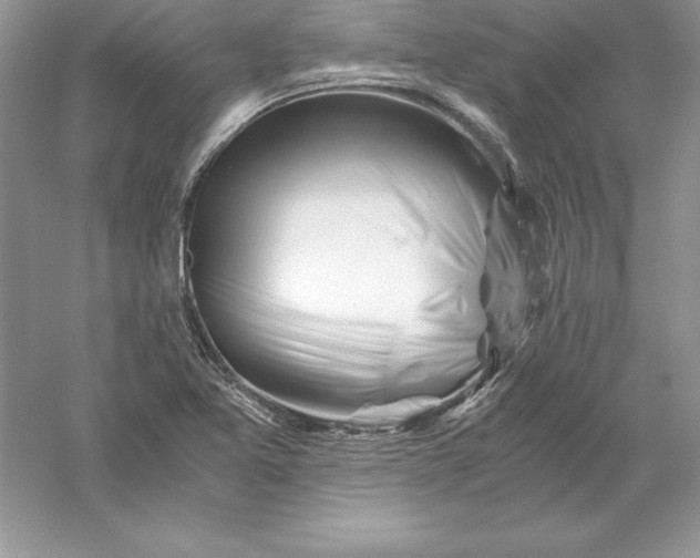 X0000055981365200509091942