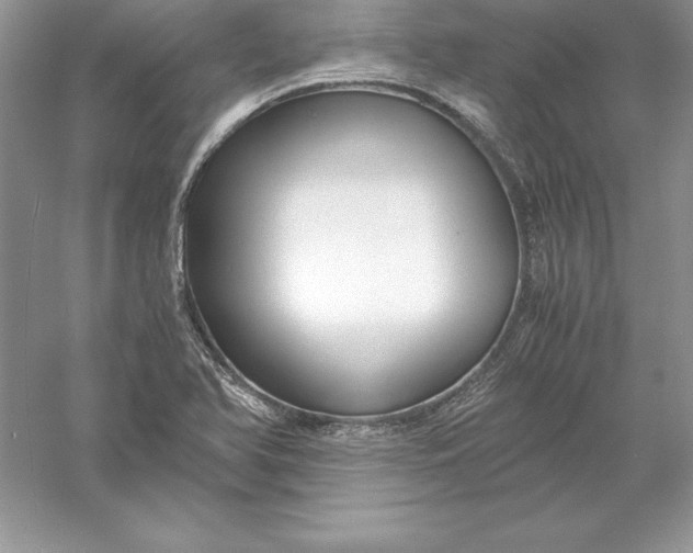 X0000055981366200509091942