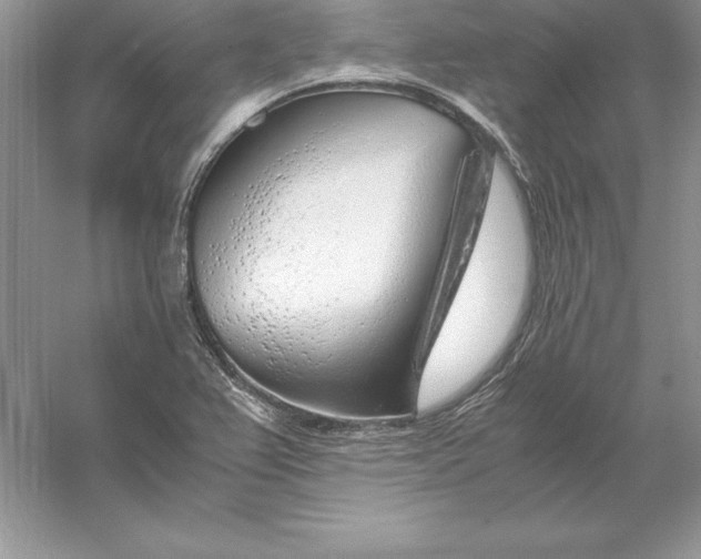 X0000055981367200509091942