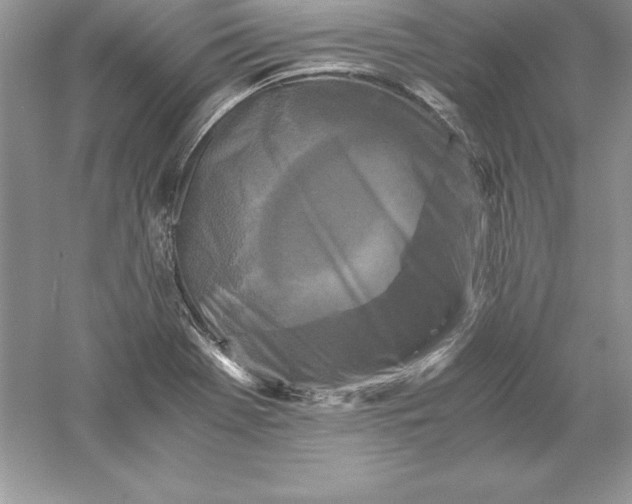 X0000055981369200509091942