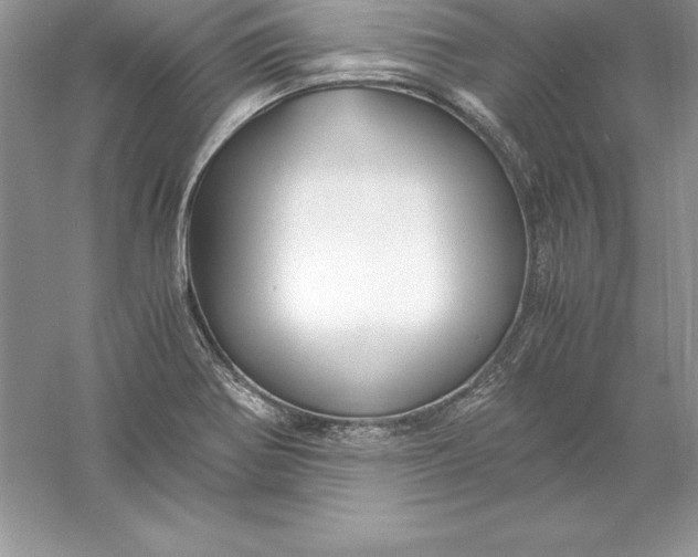 X0000055981370200509091942