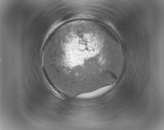 X0000055981371200509091942