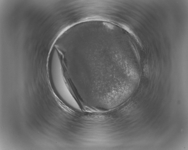 X0000055981372200509091942