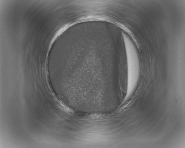 X0000055981373200509091942