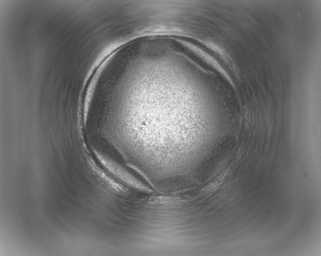 X0000055981374200509091942