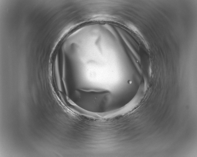 X0000055981376200509091942