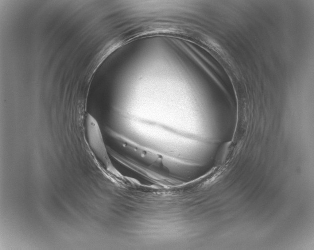 X0000055981377200509091942