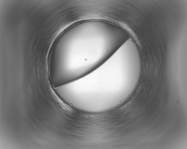 X0000055981380200509091942