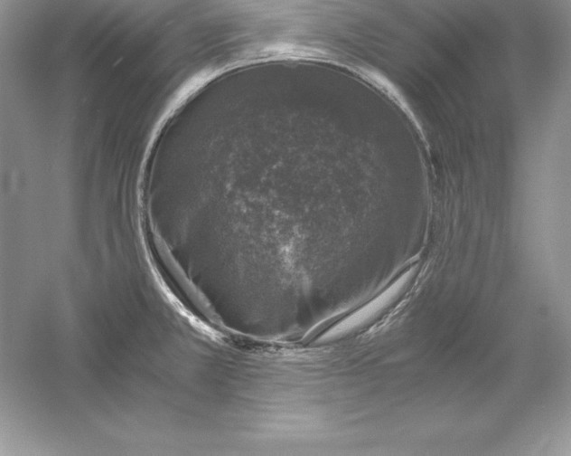 X0000055981381200509091942