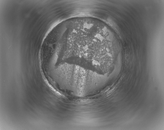 X0000055981382200509091942