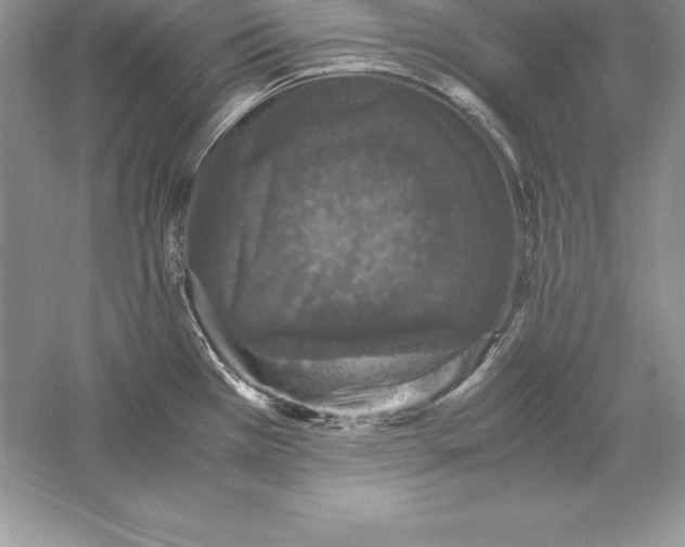 X0000055981385200509091942