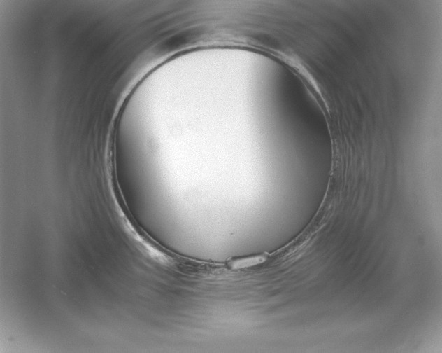 X0000055981387200509091942