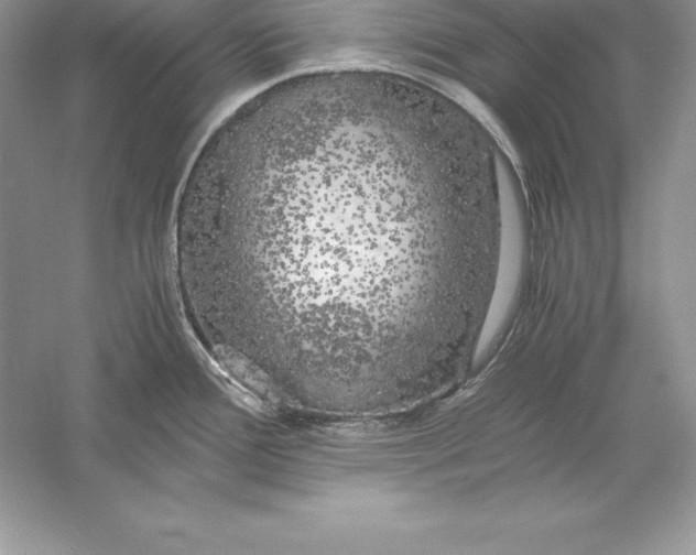 X0000055981388200509091942