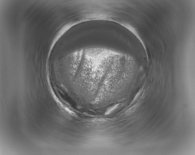 X0000055981389200509091942