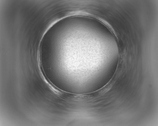 X0000055981391200509091942