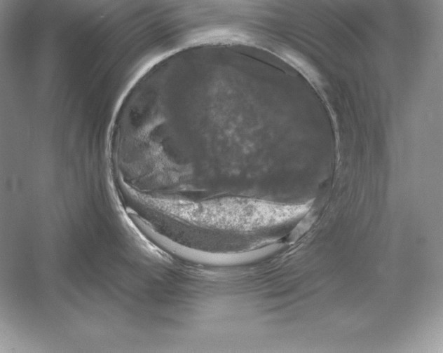 X0000055981392200509091942