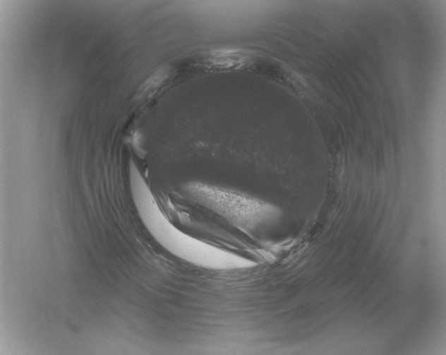 X0000055981394200509091941