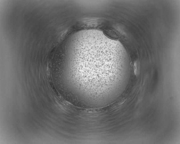 X0000055981395200509091941