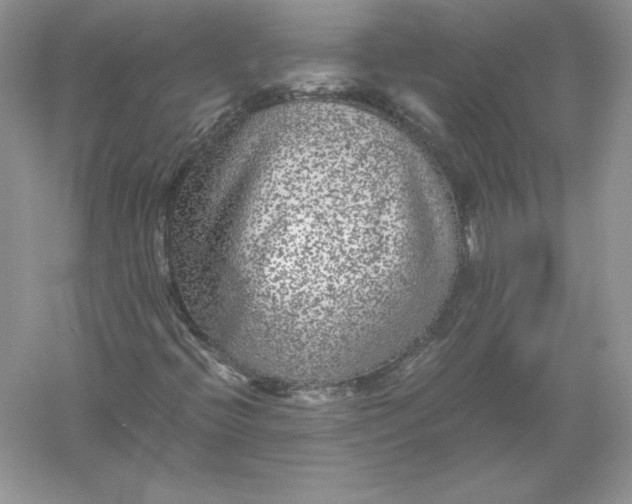 X0000055981396200509091941