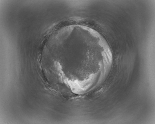 X0000055981397200509091941