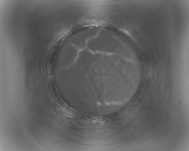 X0000055981399200509091941