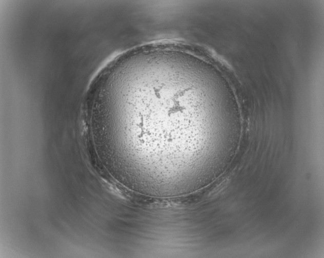 X0000055981400200509091941