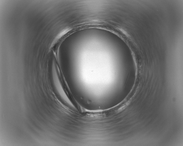 X0000055981402200509091941