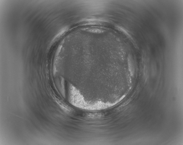 X0000055981403200509091941