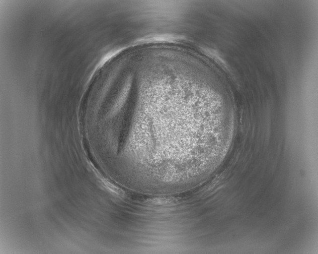 X0000055981404200509091941