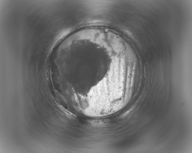 X0000055981405200509091941