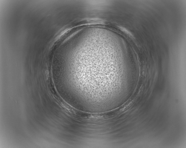 X0000055981407200509091941