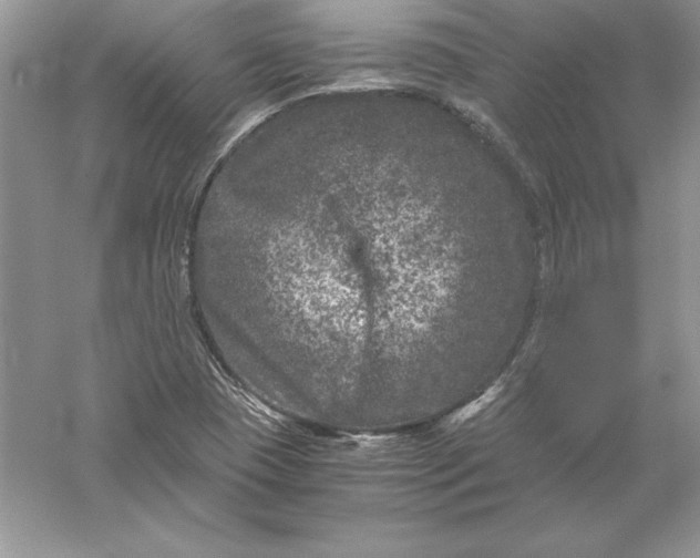 X0000055981409200509091941