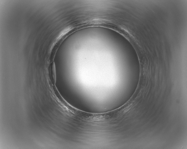 X0000055981410200509091941