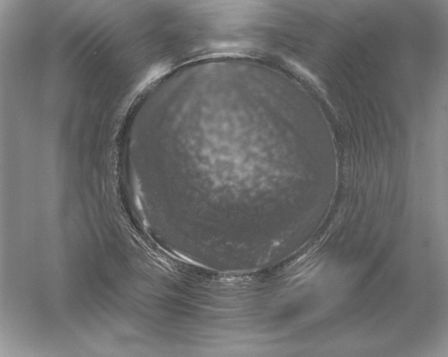 X0000055981411200509091941