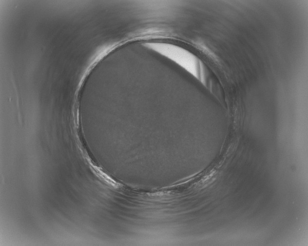 X0000055981413200509091941