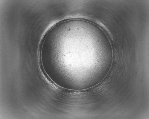 X0000055981416200509091941