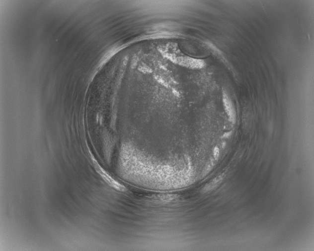 X0000055981417200509091941