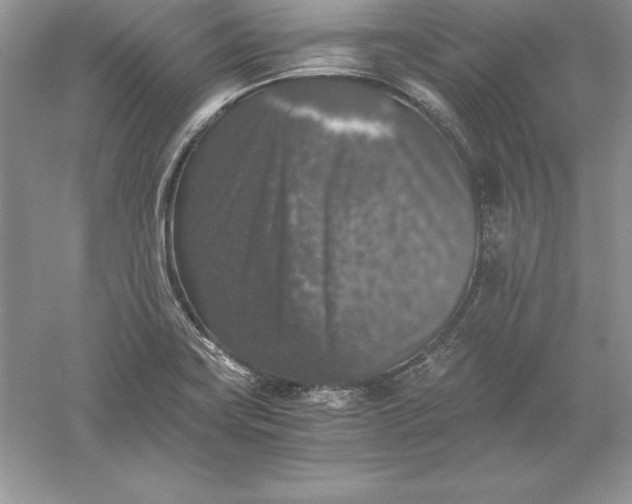 X0000055981419200509091941