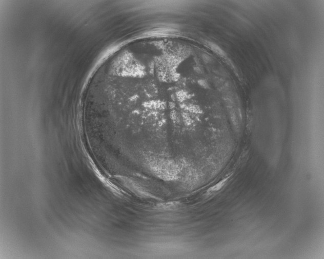 X0000055981421200509091941