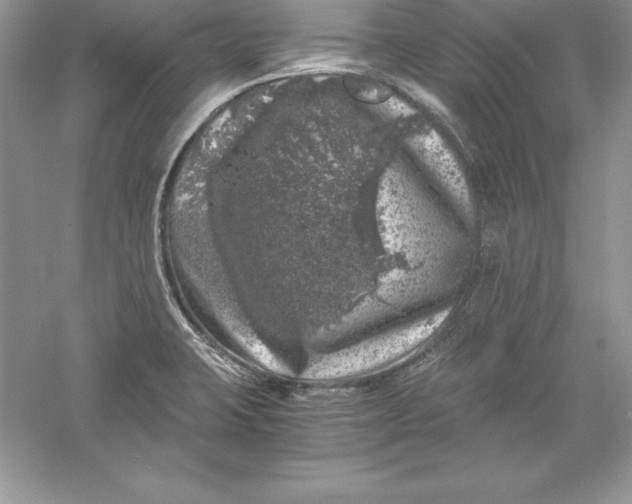 X0000055981423200509091941