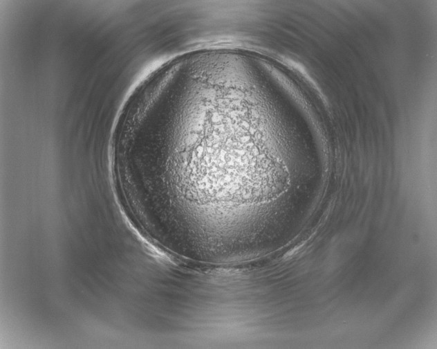 X0000055981424200509091941