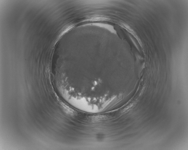 X0000055981425200509091941