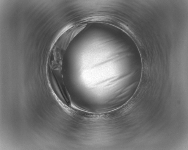 X0000055981426200509091941