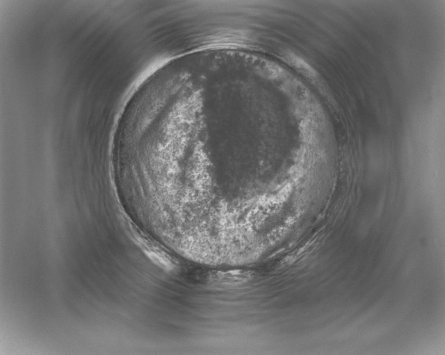 X0000055981427200509091941