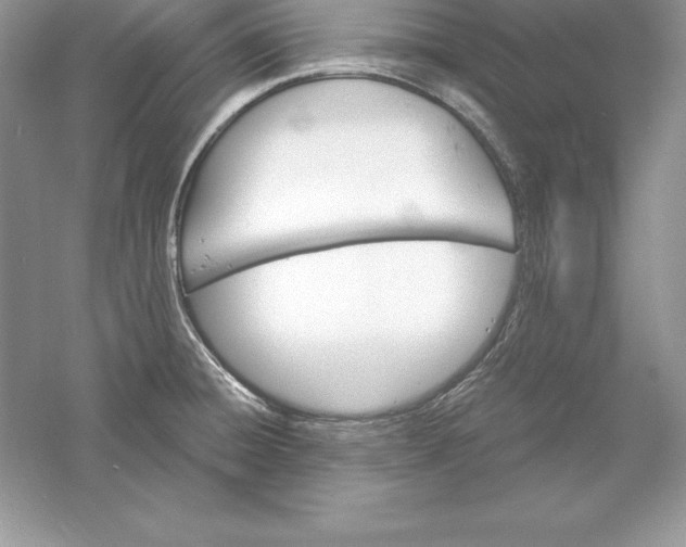 X0000055981428200509091941