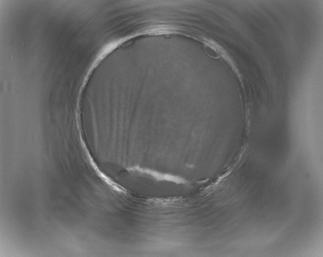 X0000055981429200509091941