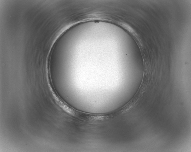 X0000055981431200509091941