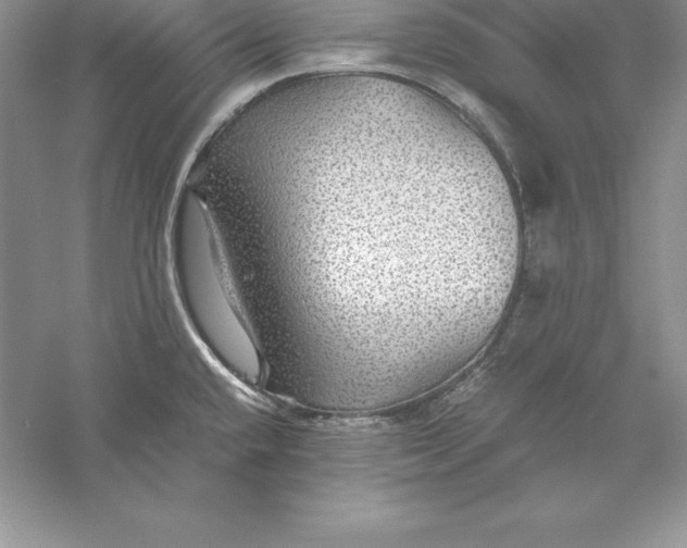 X0000055981432200509091941